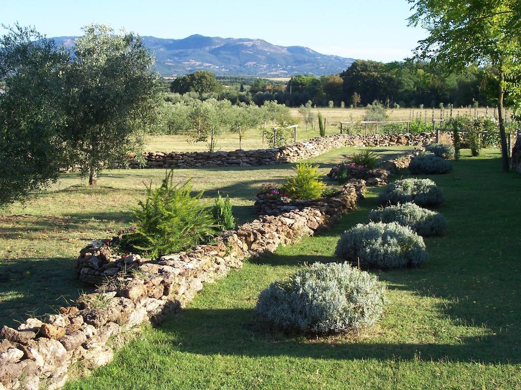 Agriturismo Il Grillo Parlante Pitigliano Exterior photo